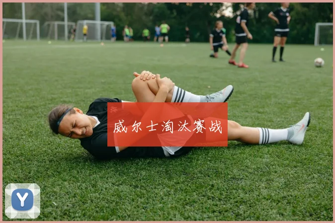 威尔士淘汰赛战