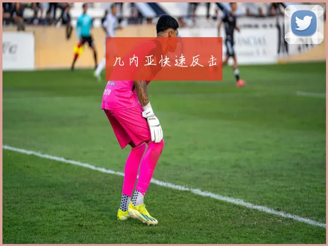 几内亚快速反击