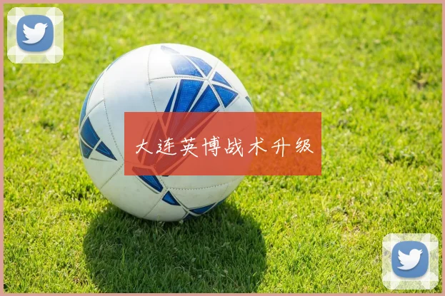 大连英博战术升级